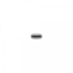 USB-C to USB Adapter