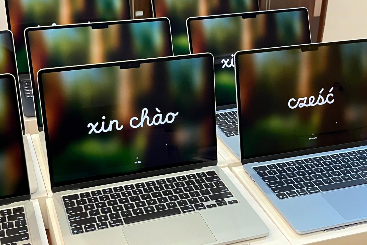 Combo MacBook + iPad hay MacBook + Màn hình rời: Đâu là lựa chọn tối ưu cho sinh viên Kinh tế?
