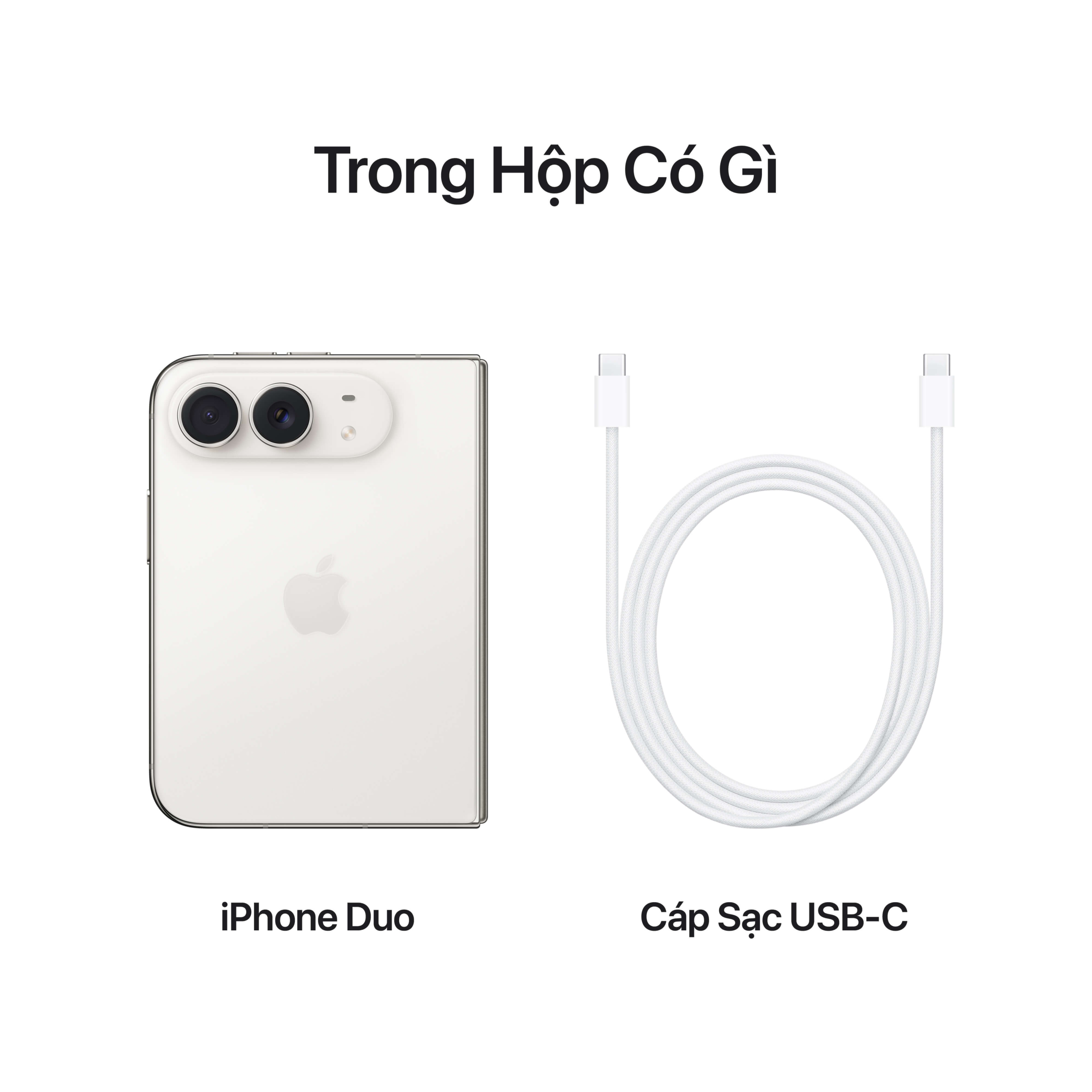 iPhone Duo - ảnh 15
